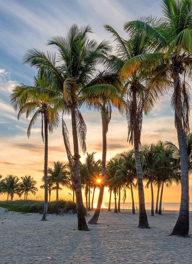 Zur Gruppenreise Florida Sunshine State & Beach
