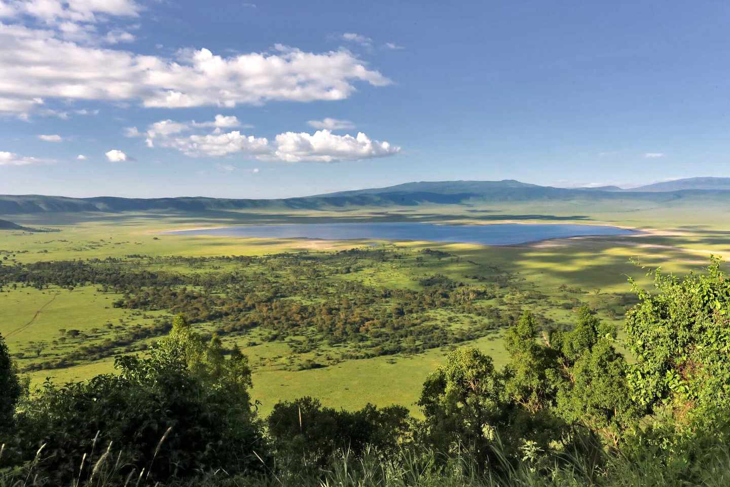 afrika-krater-nationalpark-ngorongoro-dertour-g-1131182813.jpg