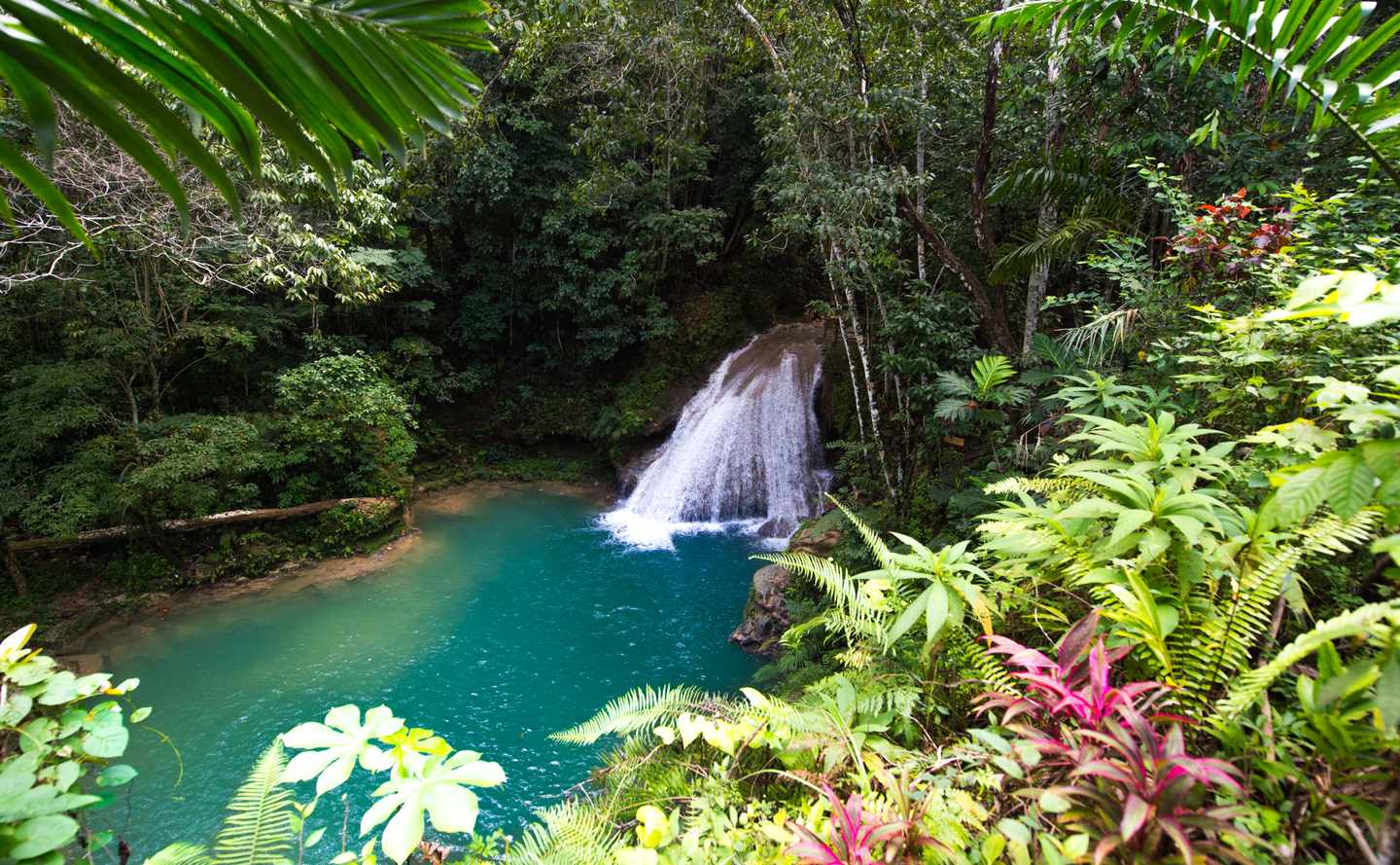 karbik-jamaika-wasserfall-im-gruenen-g-518020918.jpg
