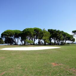 kroatien--brijun-golzplatz-g-1317401395.jpg