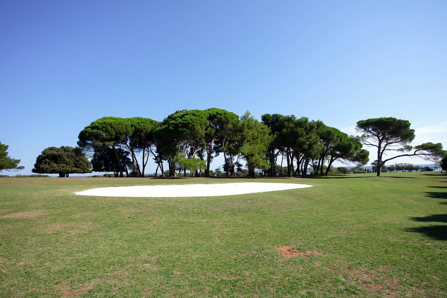kroatien--brijun-golzplatz-g-1317401395.jpg