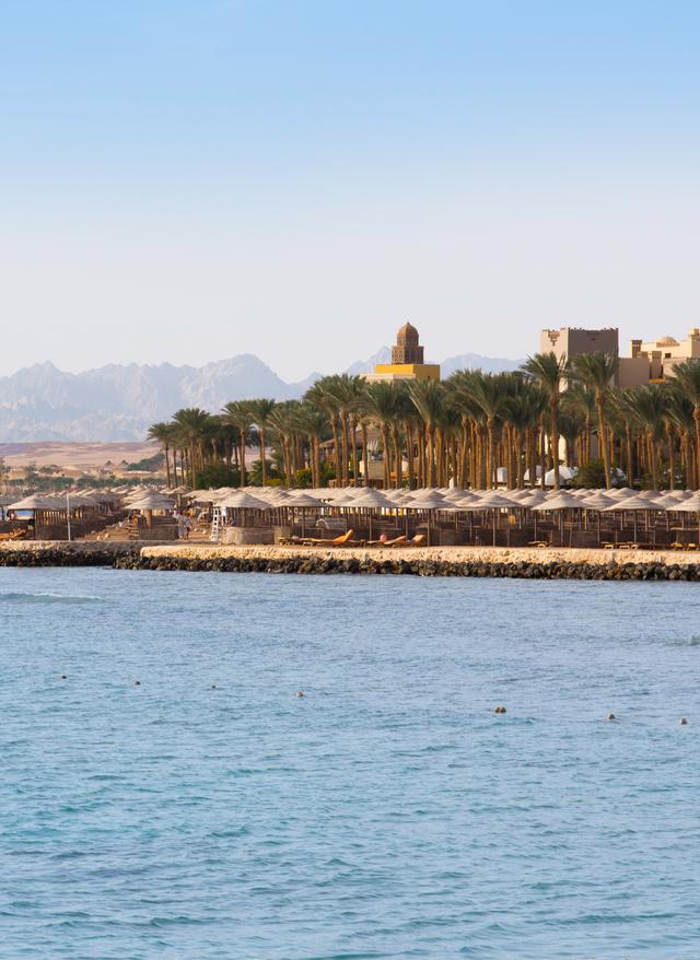Makadi Bay Urlaub Strand mit Palmen