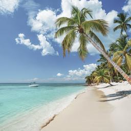 dominikanische-republik-punta-cana-strand-mit-palmen-g-1150862958.jpg