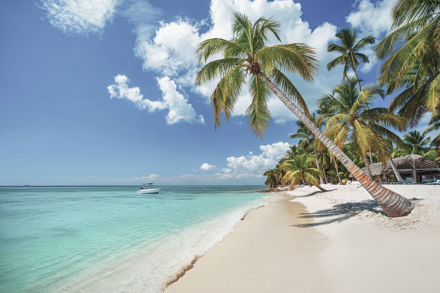 blt795c5dc9ce45a02a-dominikanische-republik-punta-cana-strand-mit-palmen-g-1150862958.jpg dominikanische-republik-punta-cana-strand-mit-palmen-g-1150862958.jpg