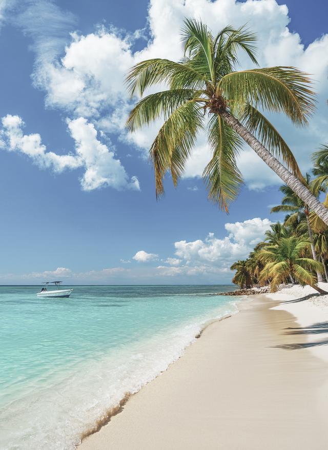 Süd- & Mittelamerika dominikanische-republik-punta-cana-strand-mit-palmen-g-1150862958.jpg