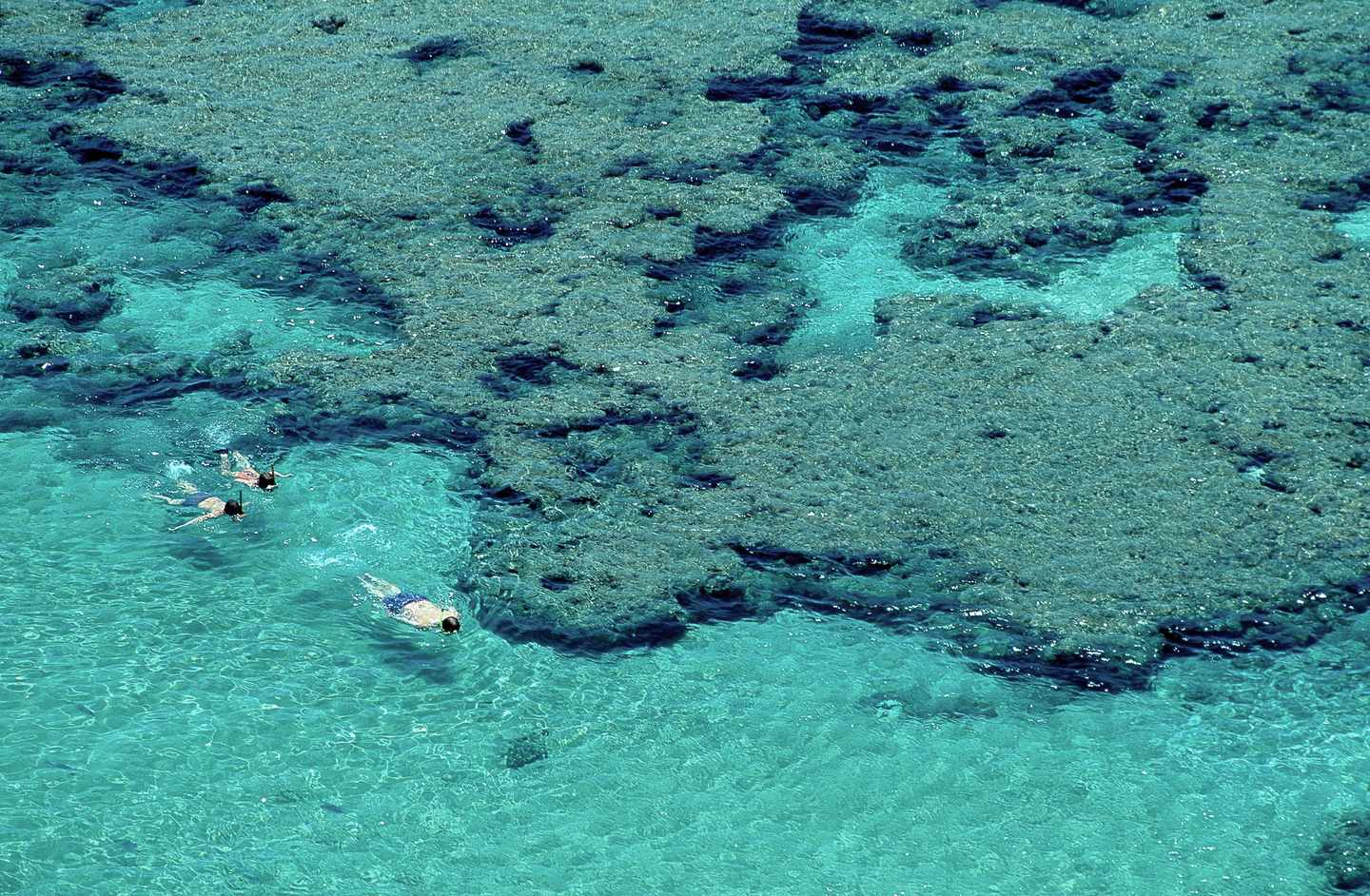 usa-hawaii-oahu-hanauma-bay-schnorcheln-g-186862178.jpg