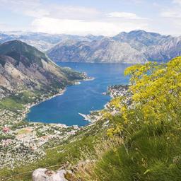 Hotels in Montenegro