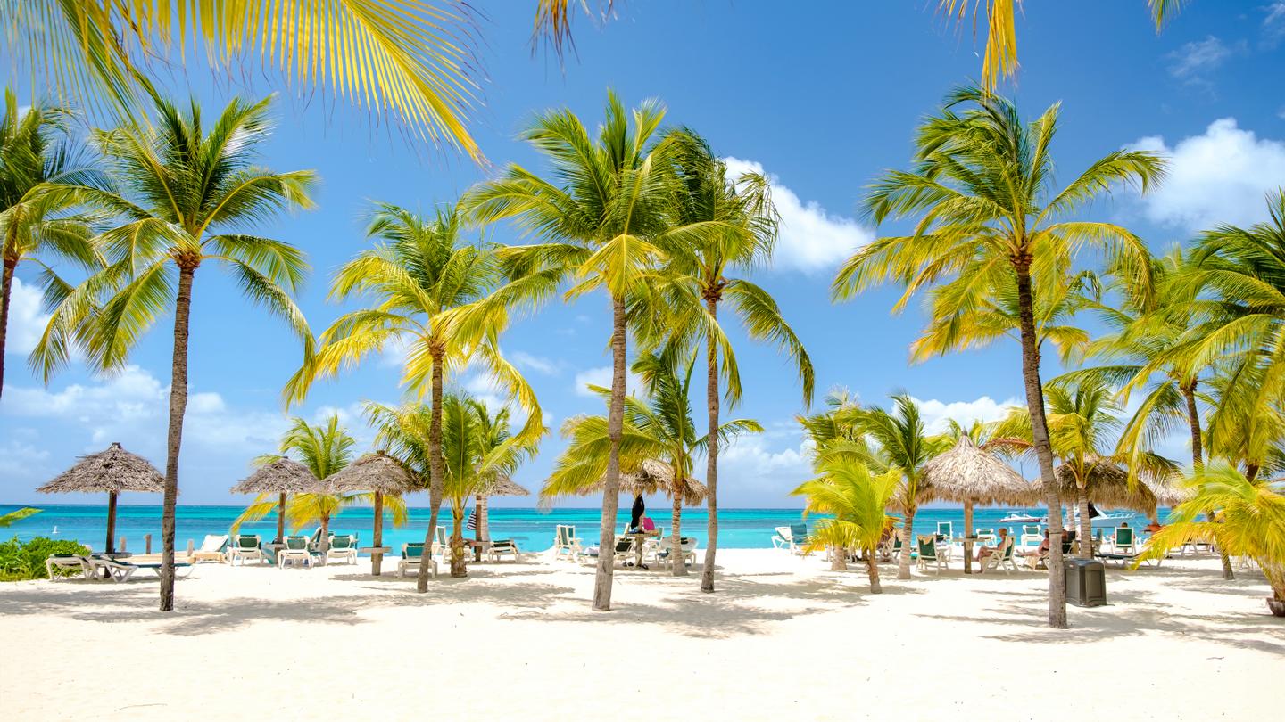bltfb6547a51adb3029-karibik-aruba-strand-mit-wei_em-sand-und-palmen-g-1839607090.jpg karibik-aruba-strand-mit-weißem-sand-und-palmen-g-1839607090.jpg