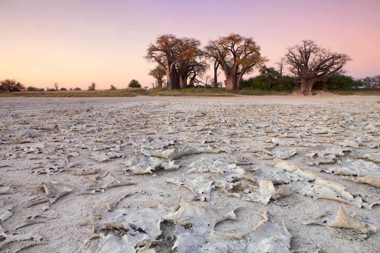 botswana-nxai-pan-nationalpark-baines-baobabs-klein-g-1142145279.jpg