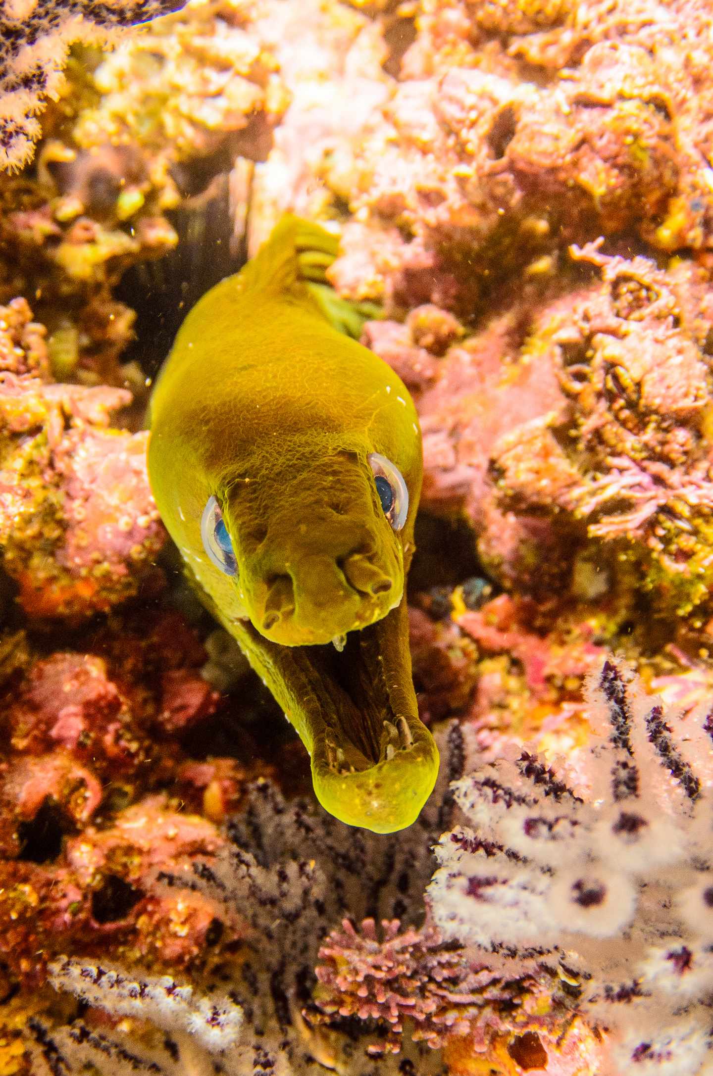 bltcdb7826c38dfdd4b-mexiko-los-cabos-g-1056573772.jpg Los Cabos Sehenswürdigkeiten: Biodiversität