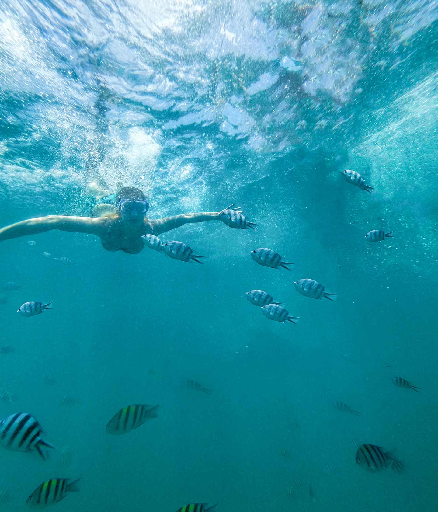 bltb8bdcadf8fdf4327-afrika-sansibar-taucherin-unter-wasser-g-1215373422.jpg Tauchen im Sansibar-Urlaub: umgeben von Fischen