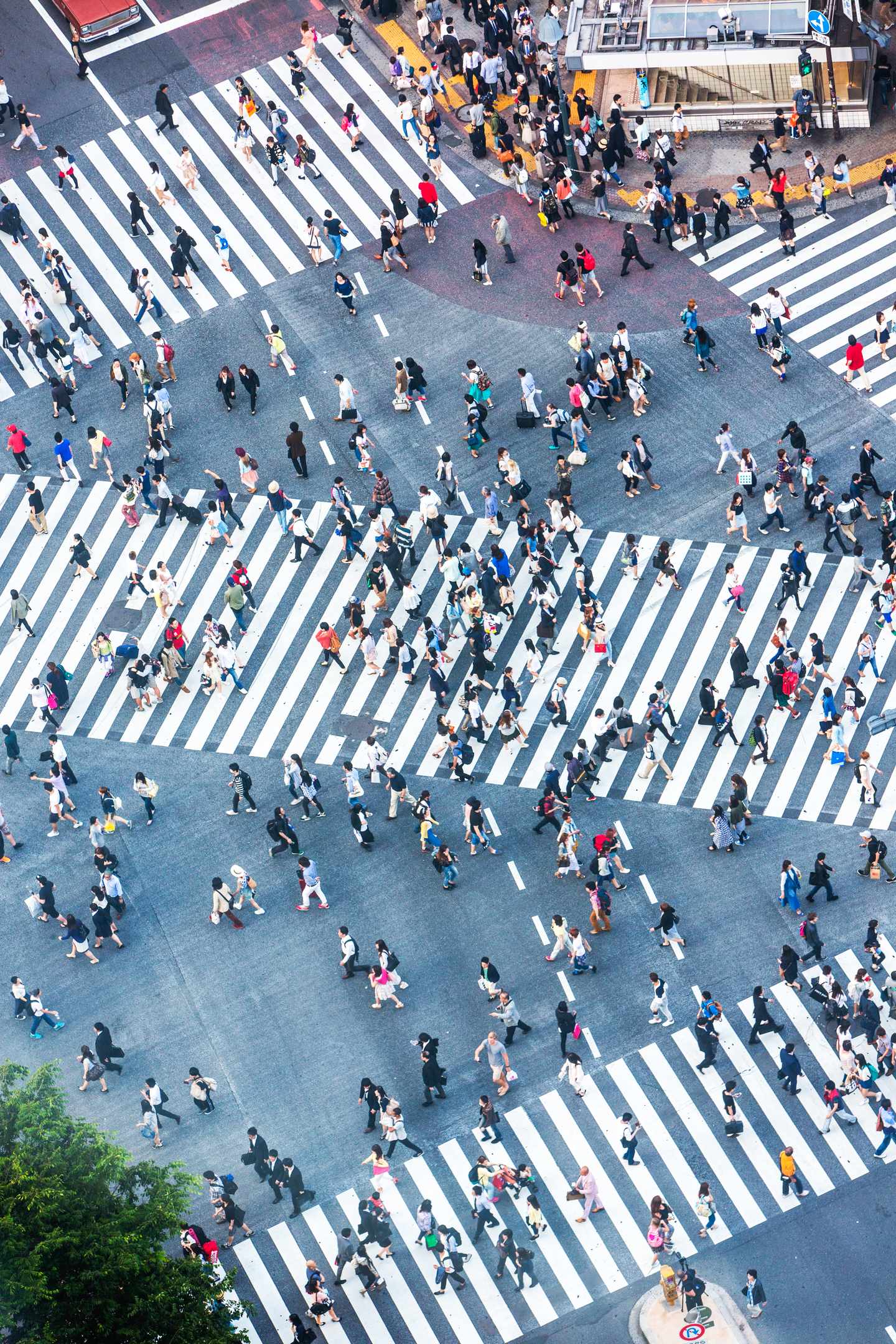 blte8aa84324bc76ceb-japan-tokio-shibuya-crossing-g-477428740.jpg Fußgängerkreuzung mit vielen Menschen in Shibuya
