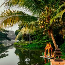 thailand-khao-lak-fluss-t-816177216.jpg