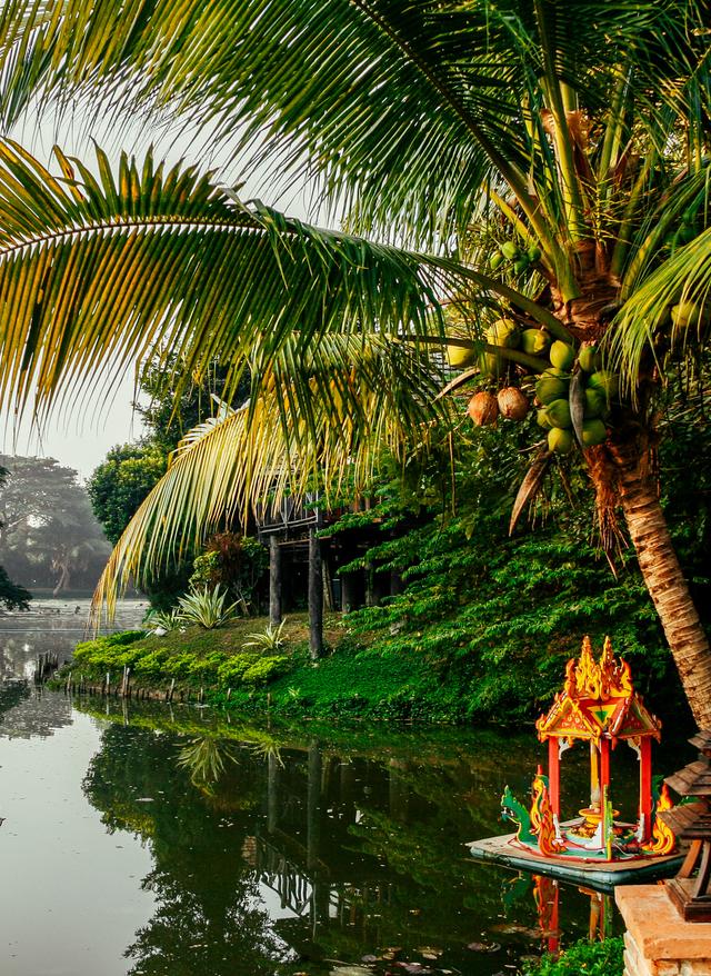 thailand-khao-lak-fluss-t-816177216.jpg