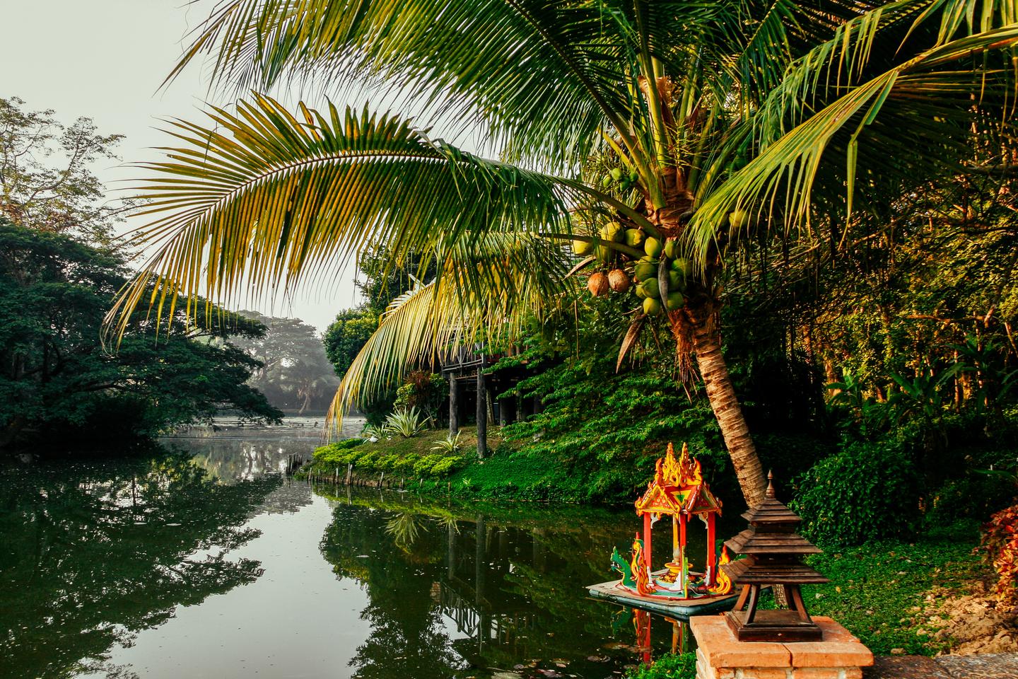 thailand-khao-lak-fluss-t-816177216.jpg