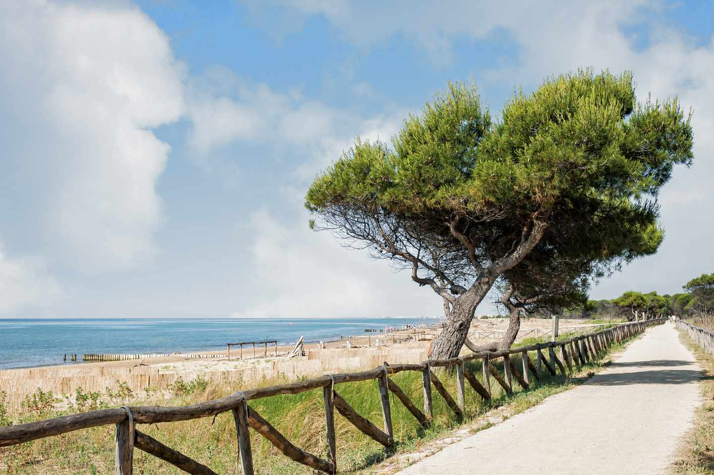 italien-adria-bibione-promenade-g-852721146.jpg