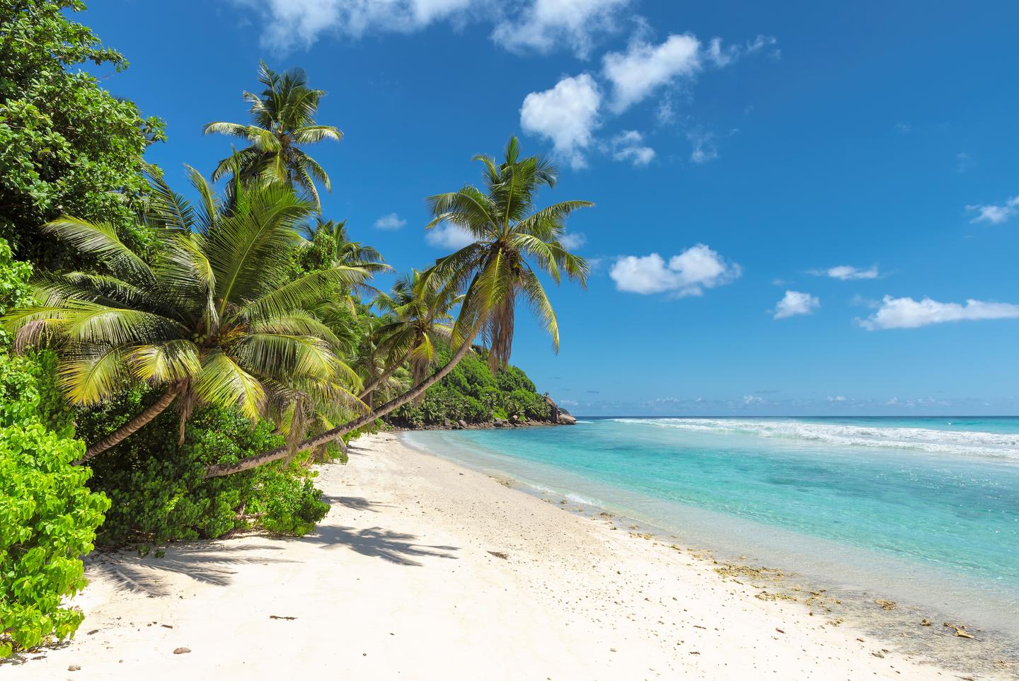 barbados-st-james-strand-g-694344280.jpg