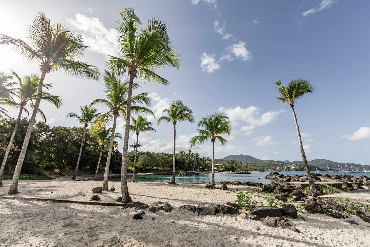 Frankreich-Martinique-La-Pointe-du-Bout-Beach-g-1308647517.jpg