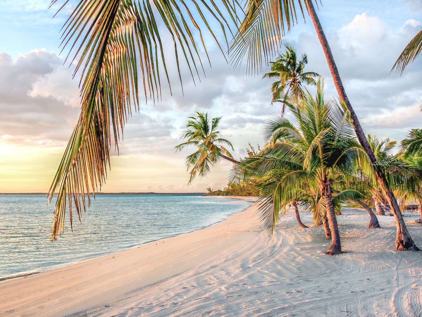 bltab3945ea931068c4-bahamas-strand-sonnenuntergang-palme-g-504887110.jpg bahamas-strand-sonnenuntergang-palme-g-504887110.png
