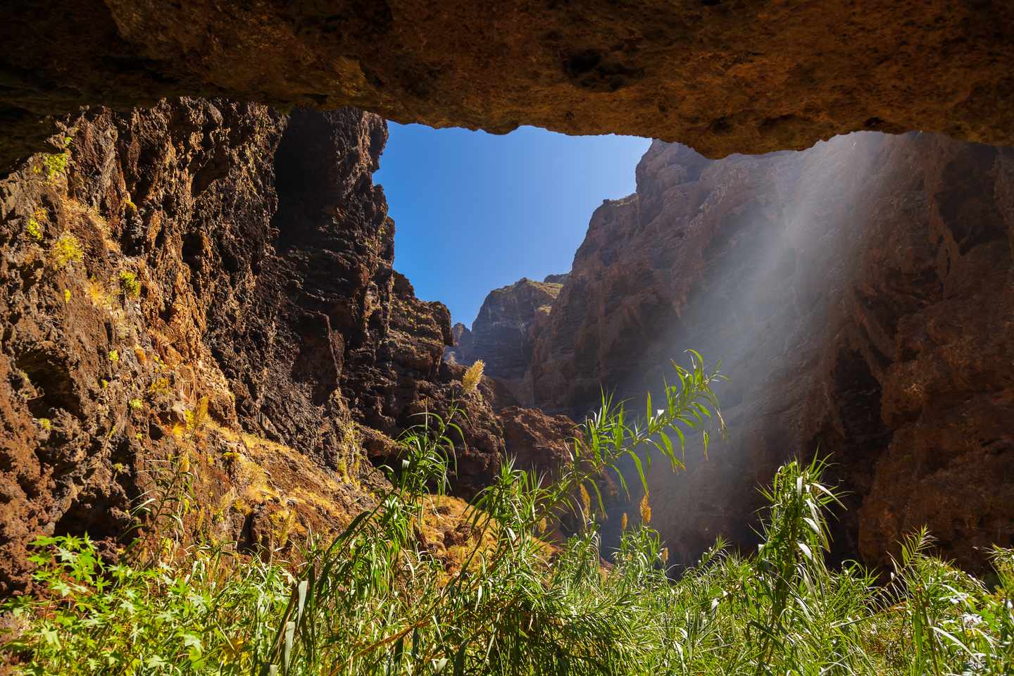 blt998ddec0b7d3d788-spanien-kanaren-teneriffa-schlucht-masca-g-620006034.jpg Schlucht Masca