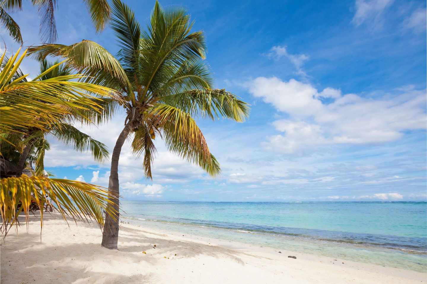 mauritius-vs-malediven-reisezeit-schnellcheck-mauritius-g-666361374.jpg