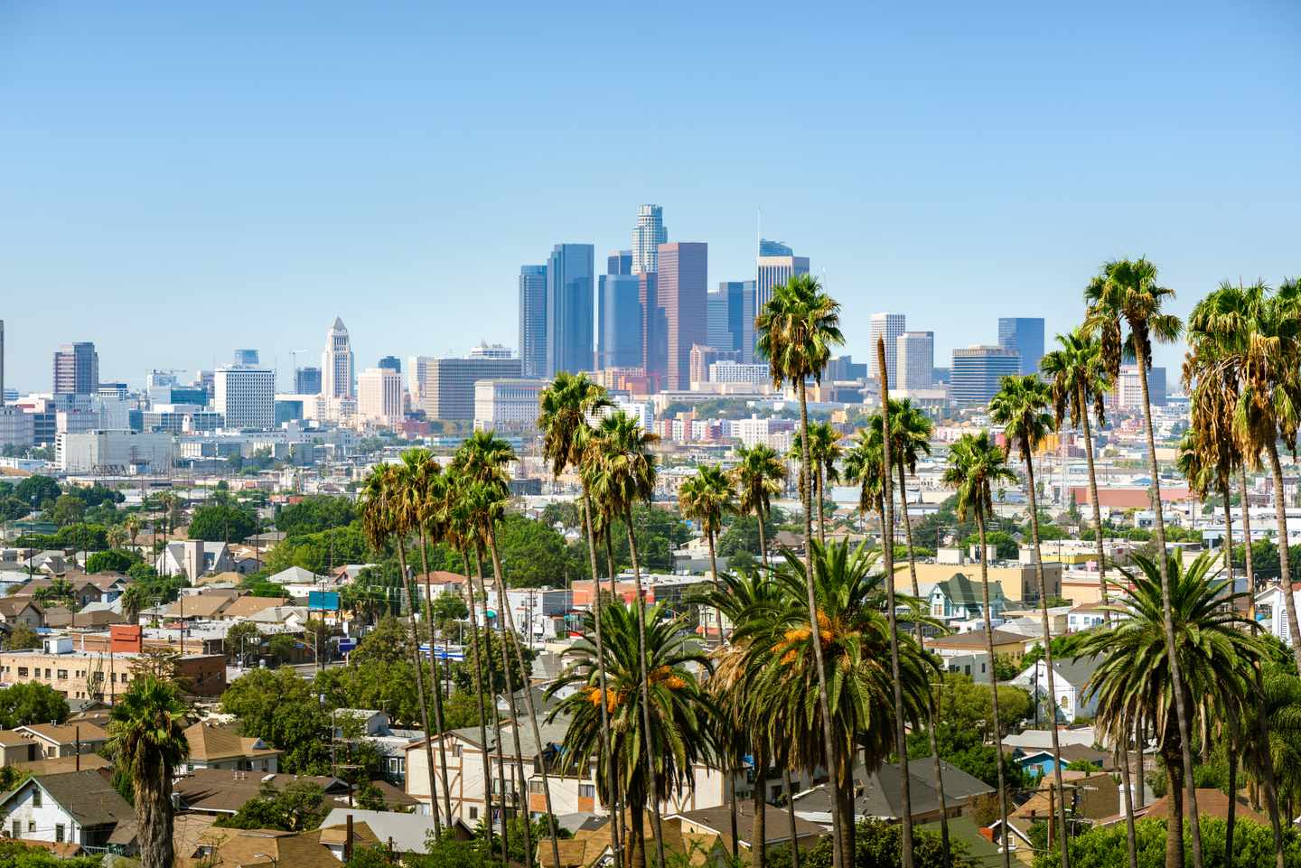 usa-kalifornien-los-angeles-innenstadt-downtown-skyline-palmen-g-845028274.jpg