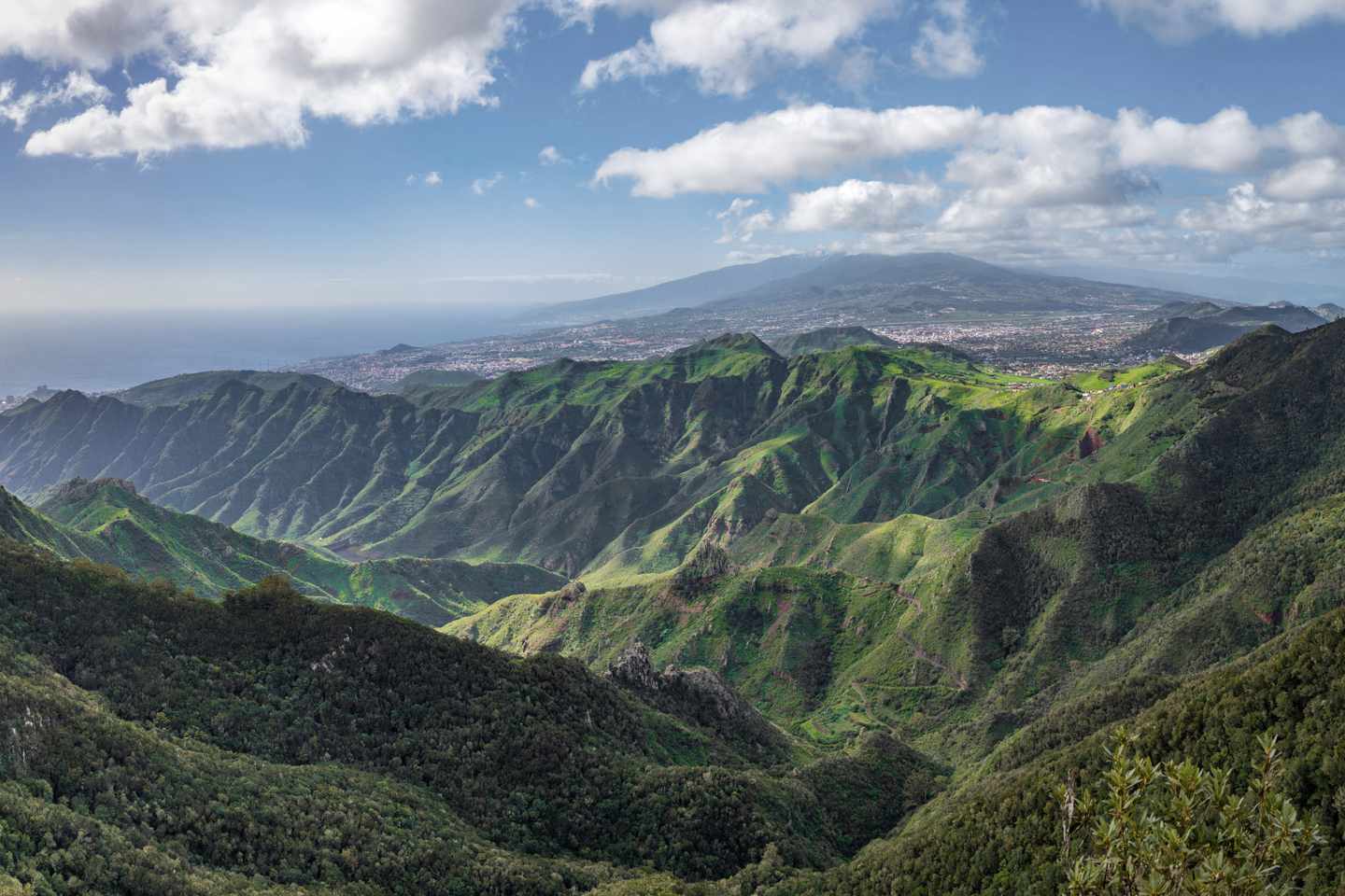 kanaren-teneriffa-teide-anaga-g-1312967202.jpg