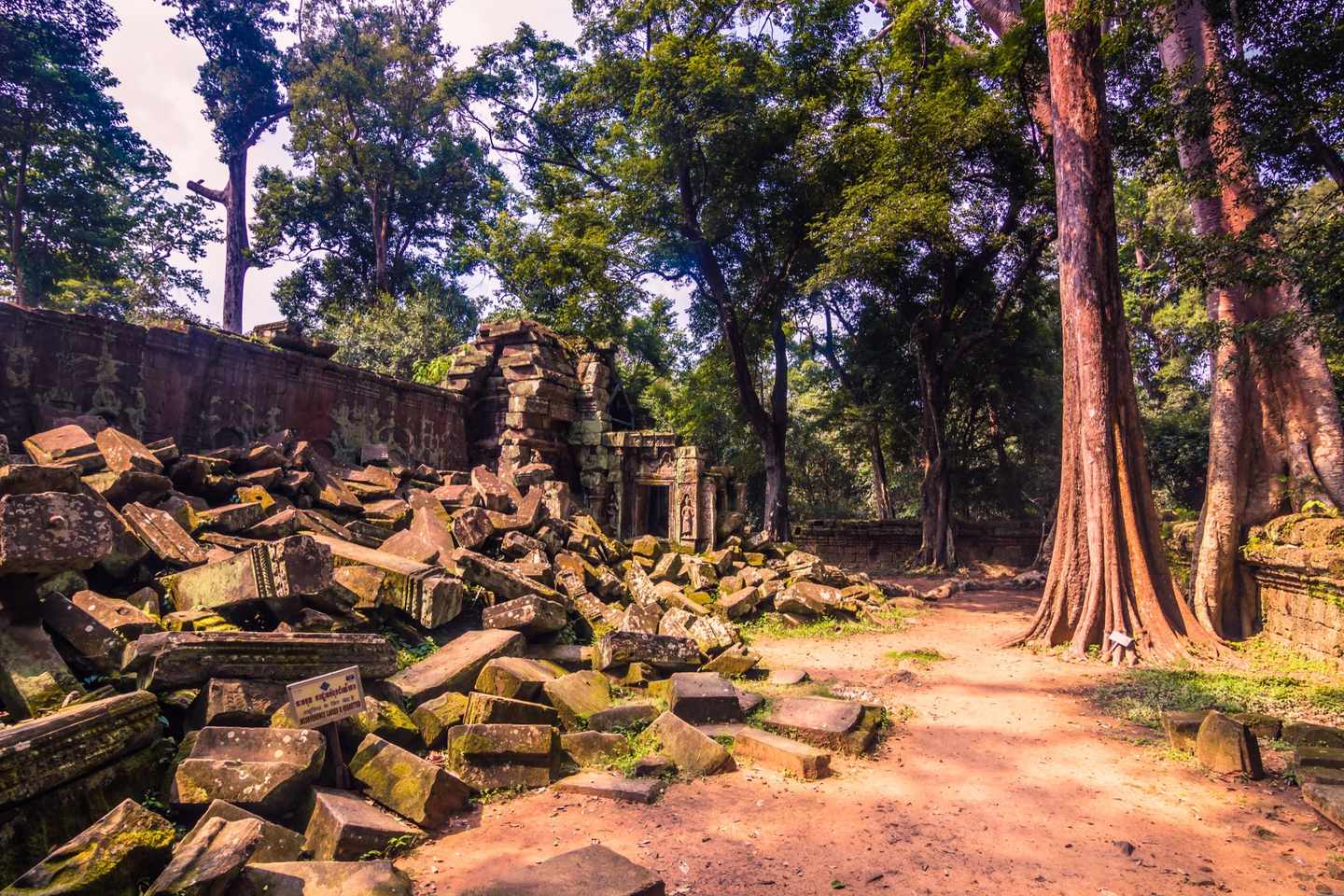 kambodscha-angkor-wat-ta-prohm-g-868072842.jpg