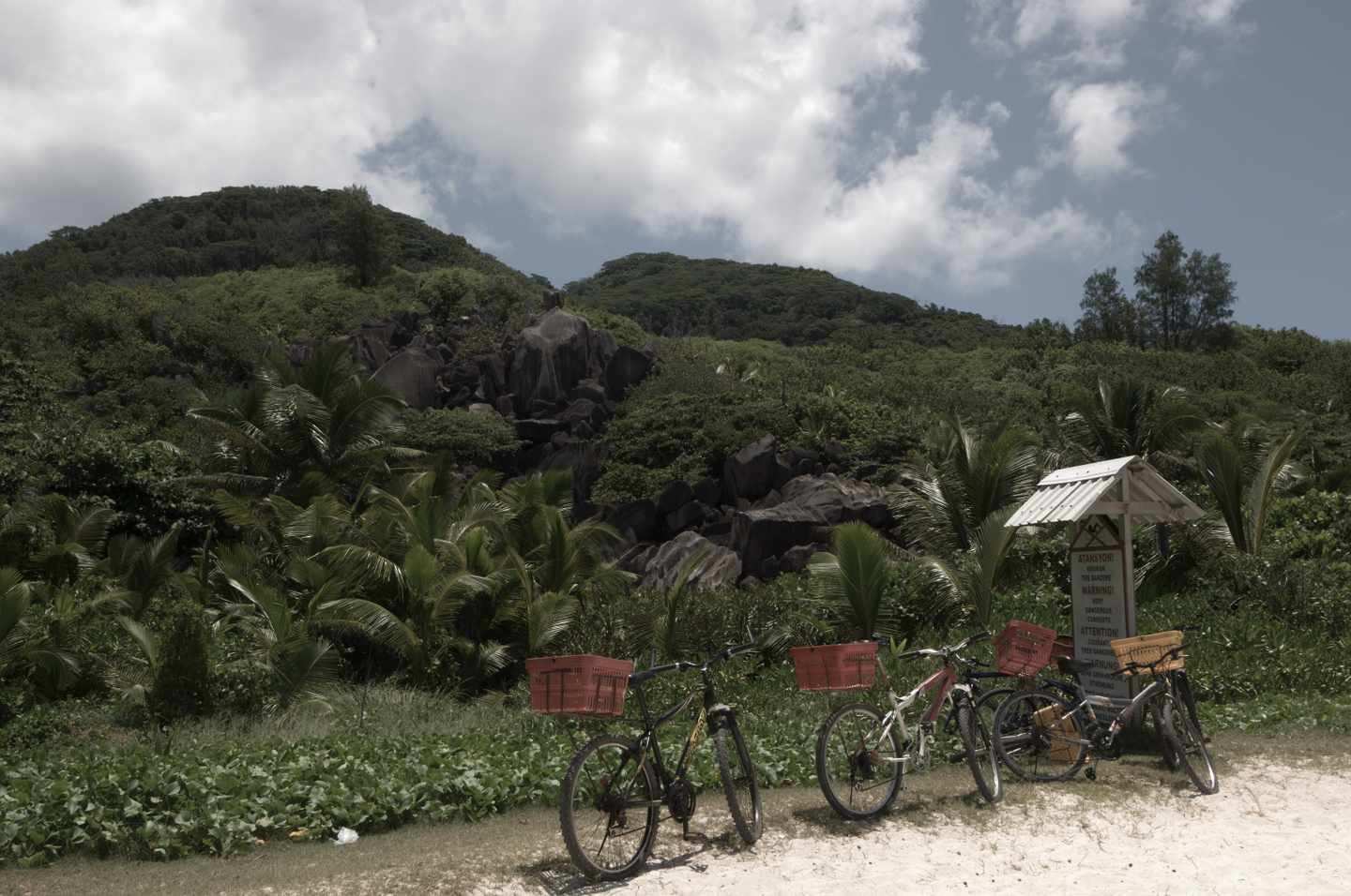 karibik-grenada-grand-anse-strand-fahrraeder-g-92242695.jpg