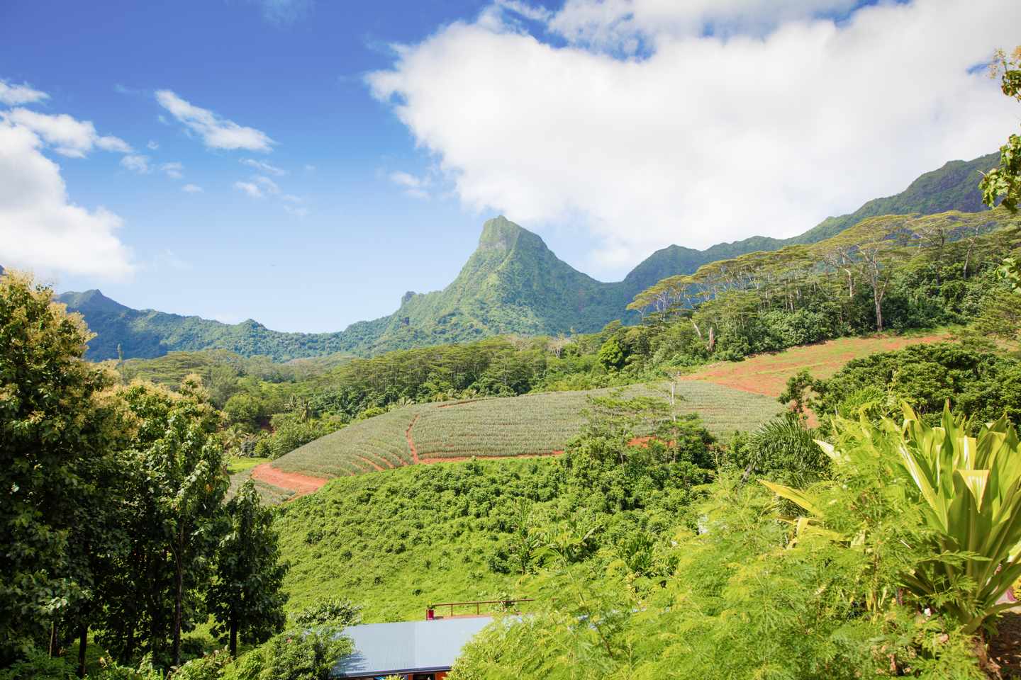 franzoesisch-polynesien-moorea-g-817798554.jpg