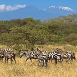 Hotels in Simbabwe