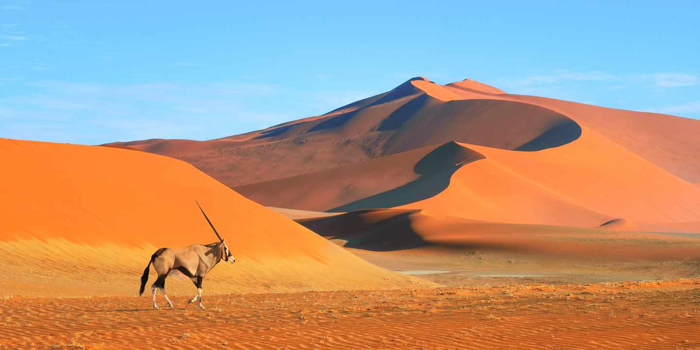 namibia-namib-naukluft-national-park-onyx-duenen-g-1954443282.jpg