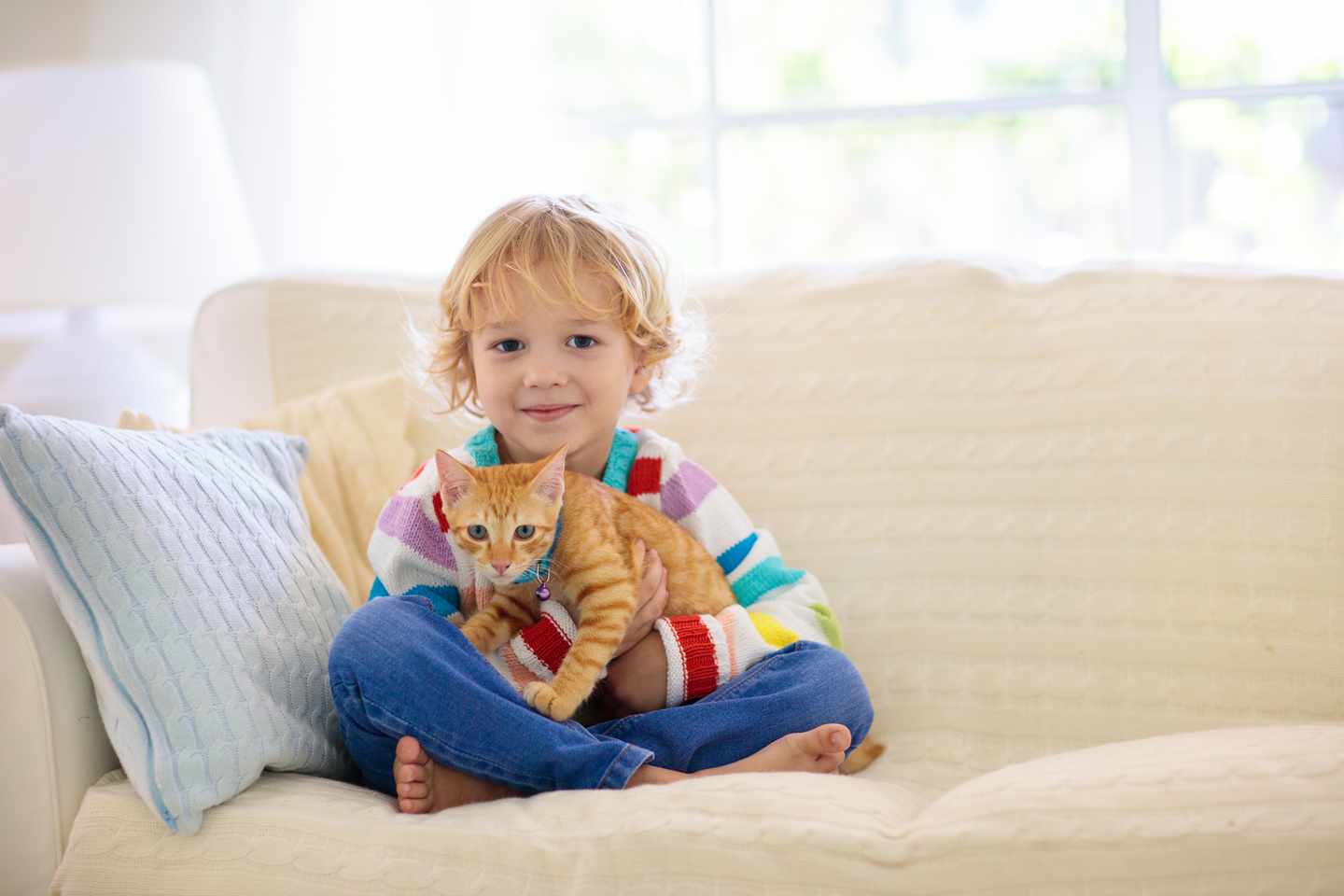 junge-katze-g-1431769224.jpg