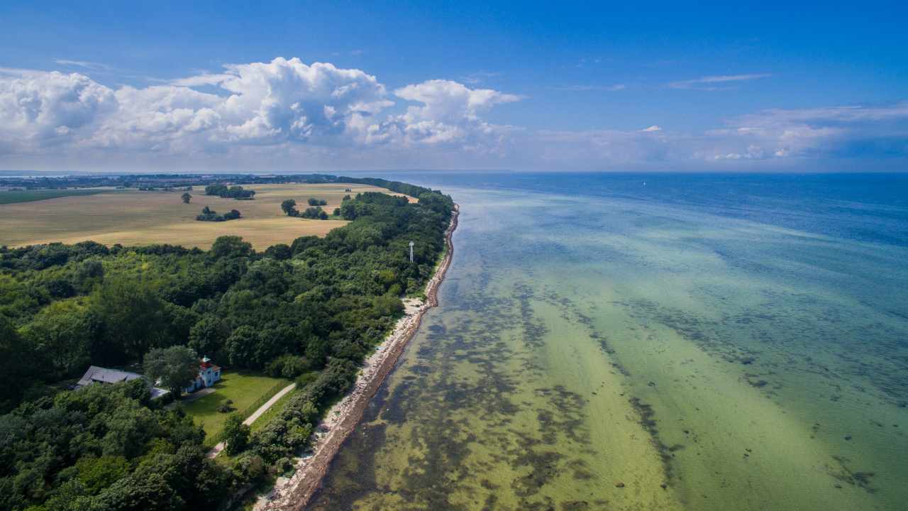 deutschland-poel-insel-strand-wald-dertour-g-817322652.jpg