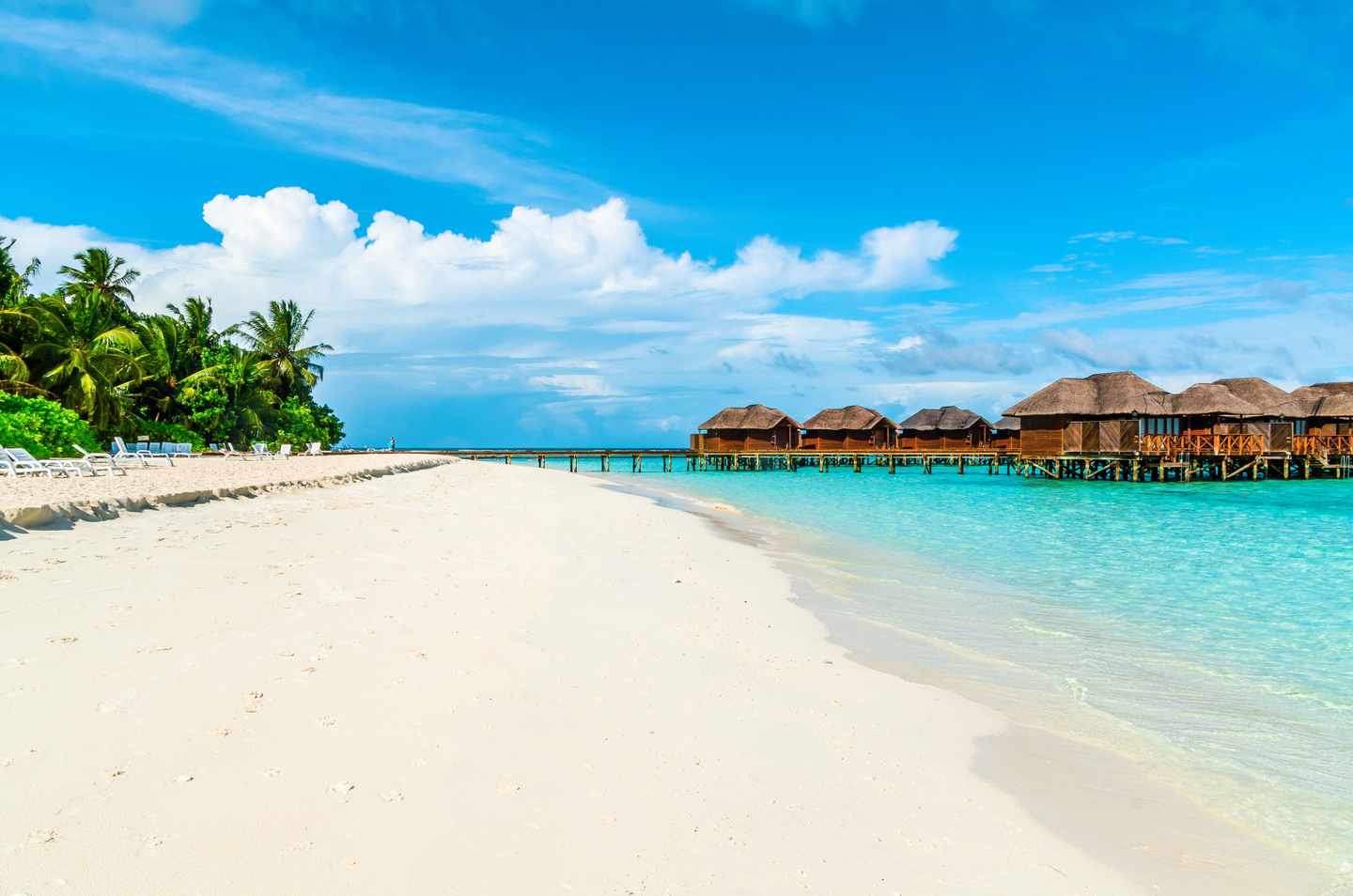 malediven-strand-resort-t-529132420.jpg