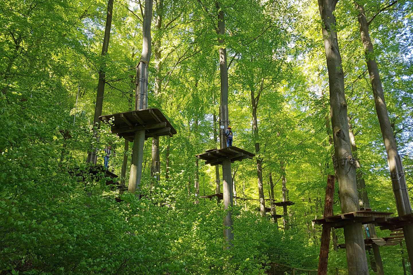 deutschland-hessen-buchwald-kellerwald-edersee-kletterwald-g_668581630.jpg