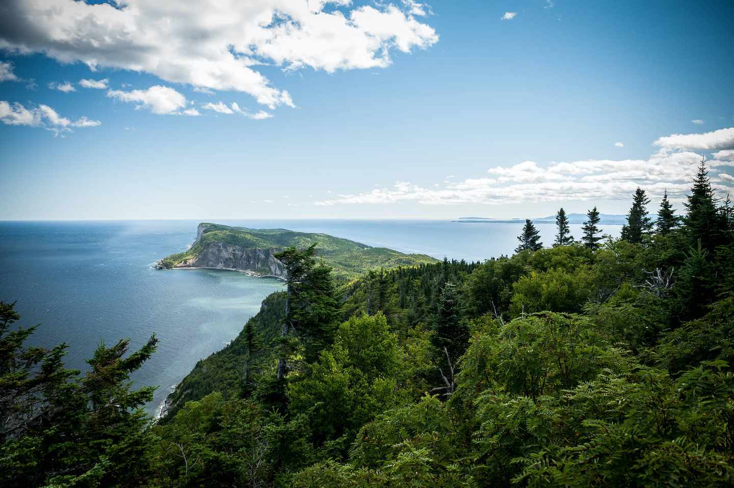 kanada-quebec-forillon-nationalpark-g-502838130.jpg