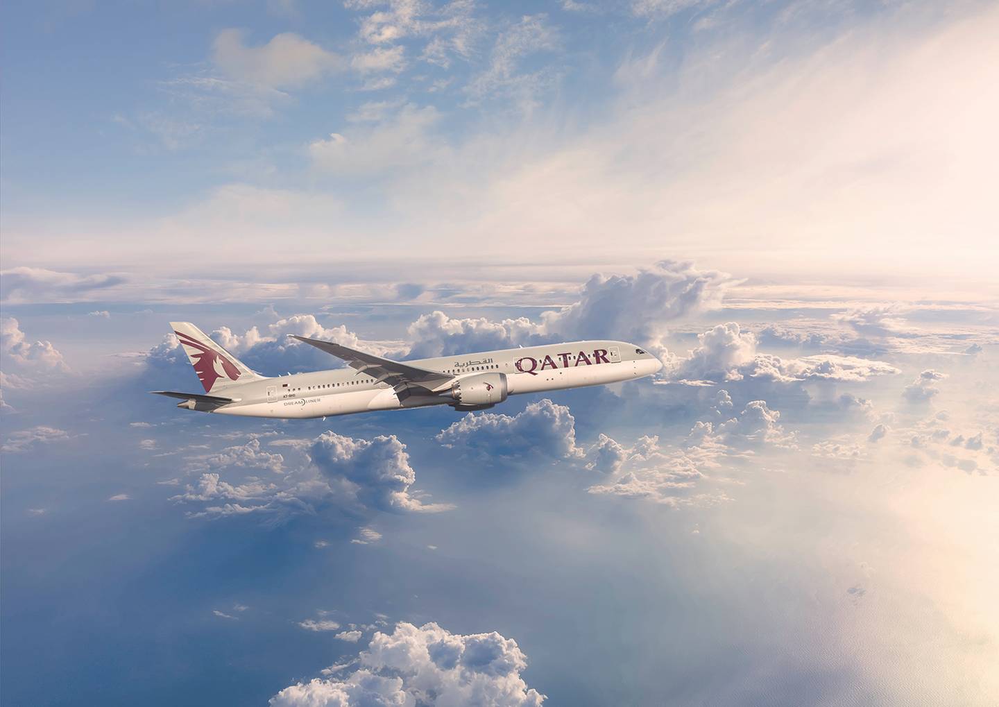 blte00f2131b3a36129-BLUESKY-B787-900_bear.jpg BLUESKY-B787-900_bear.jpg
