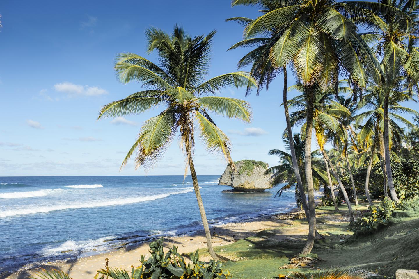 blt3c72d9eb5ff606a2-karibik-barbados-strand-bathsheba-g536890805.jpg karibik-barbados-strand-bathsheba-g536890805.jpg