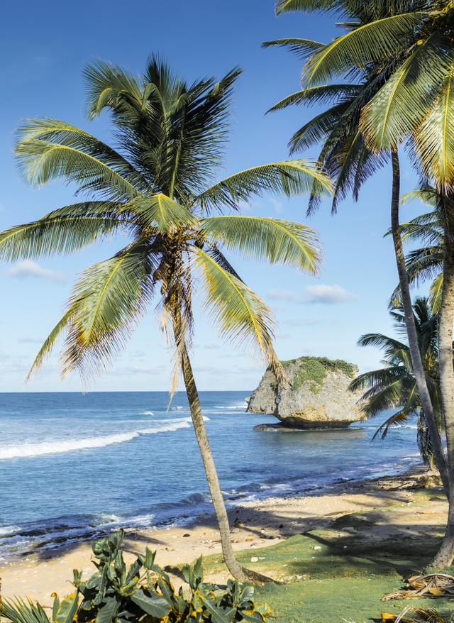 Barbados Sehenswürdigkeiten karibik-barbados-strand-bathsheba-g536890805.jpg