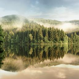deutschland-harz-soesetalsperre-g-123171218-2.jpg