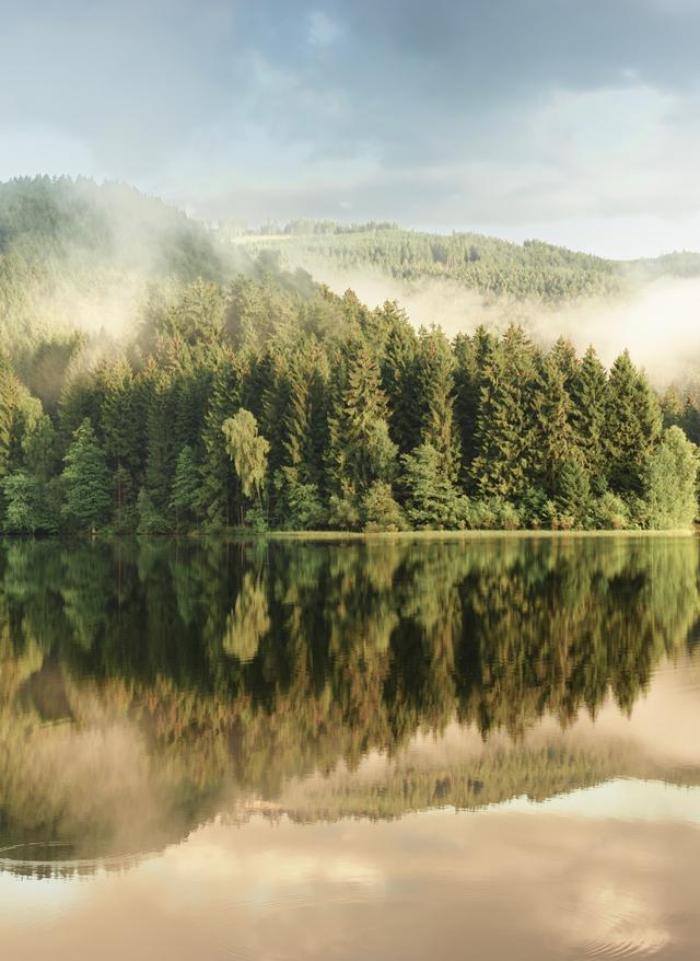 Harz Urlaub deutschland-harz-soesetalsperre-g-123171218-2.jpg