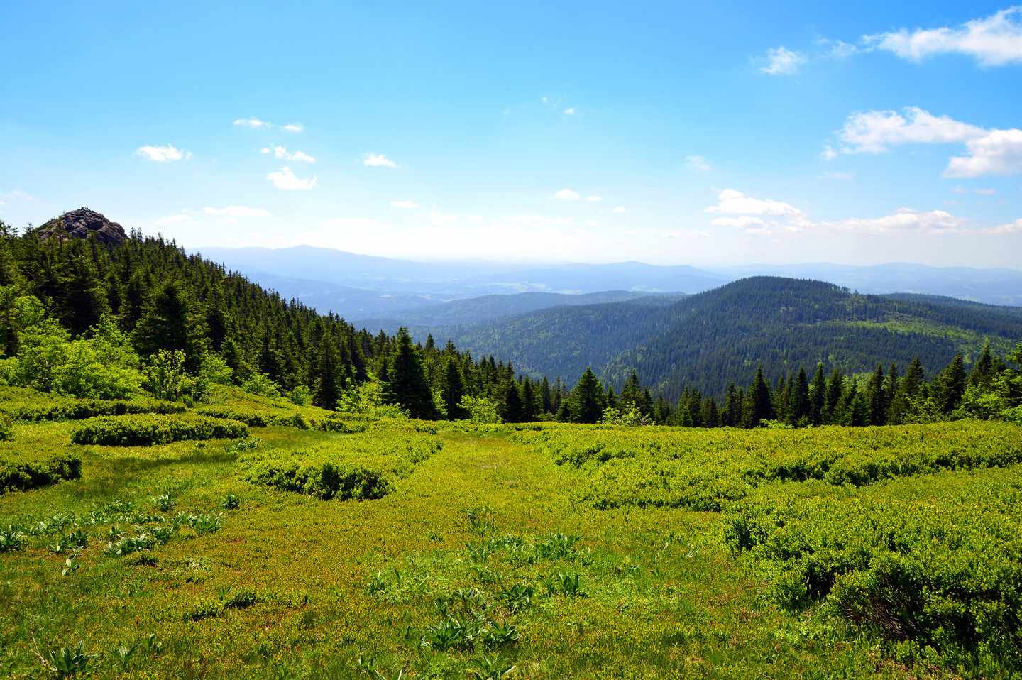 bayern-bayerischer-wald-panorama-klein-g-869977472.jpg
