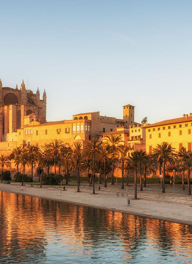Palma de Mallorca Sehenswürdigkeiten spanien-mallorca-palma-de-mallorca-sehenswuerdigkeiten-kathedrale-de-santa-maria-bei-sonnenaufgang-g-1156060859.jpg