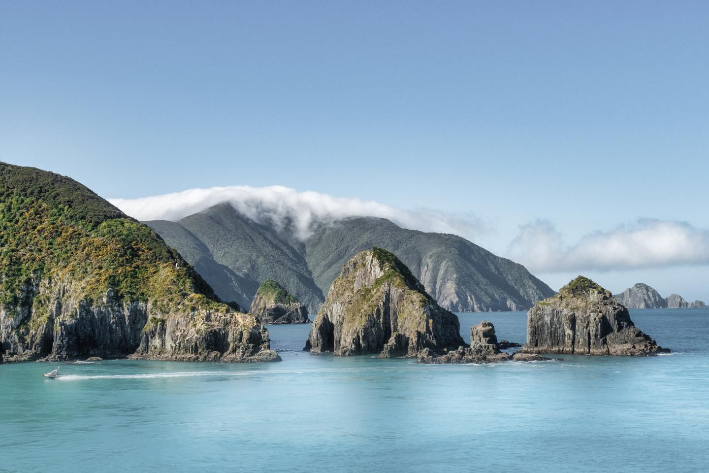 neuseeland-wellington-harbour-g-1157027502_bearbeitet.jpg