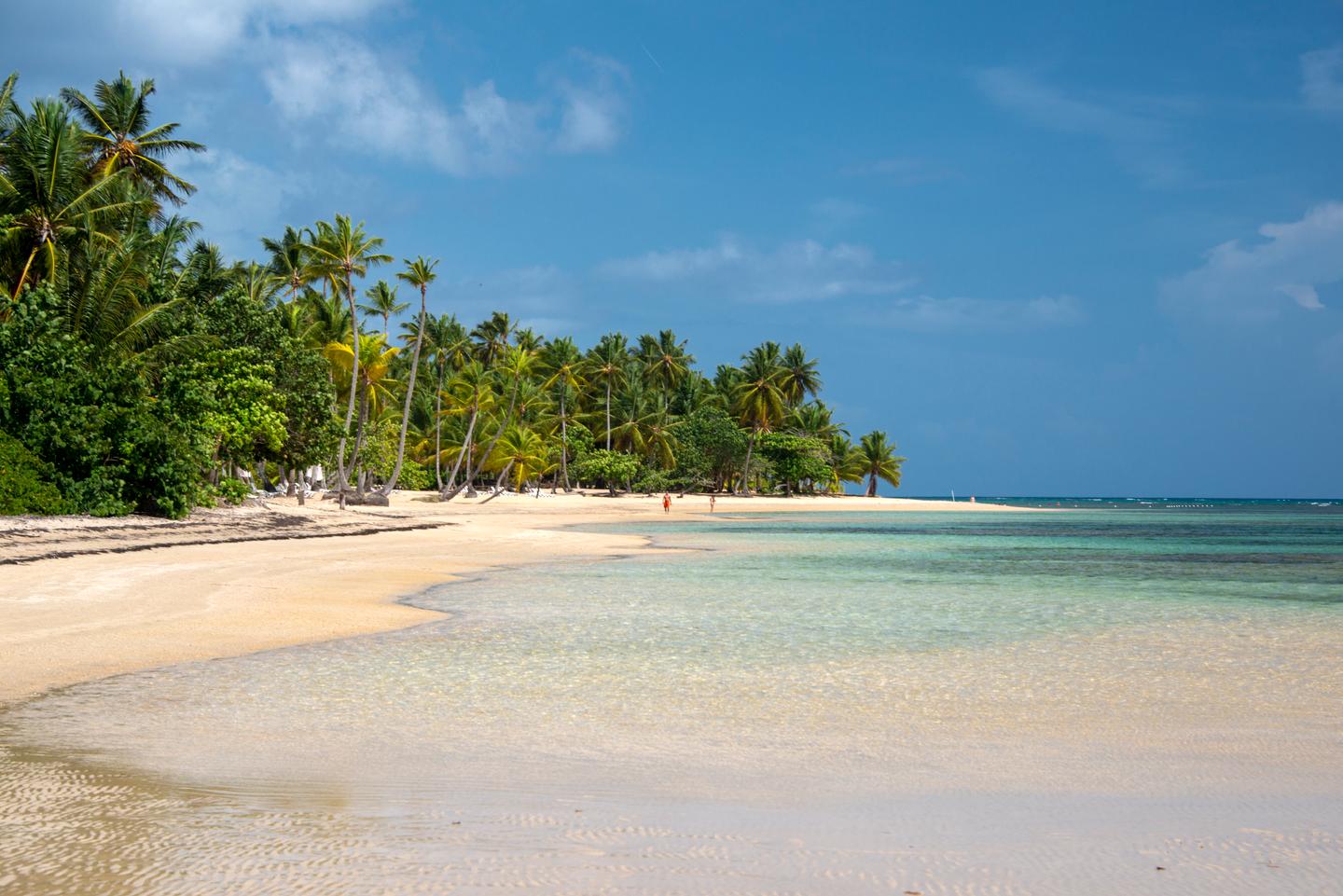 dom-rep-las-terrenas-strand-mangroven-g-1384172564.jpg