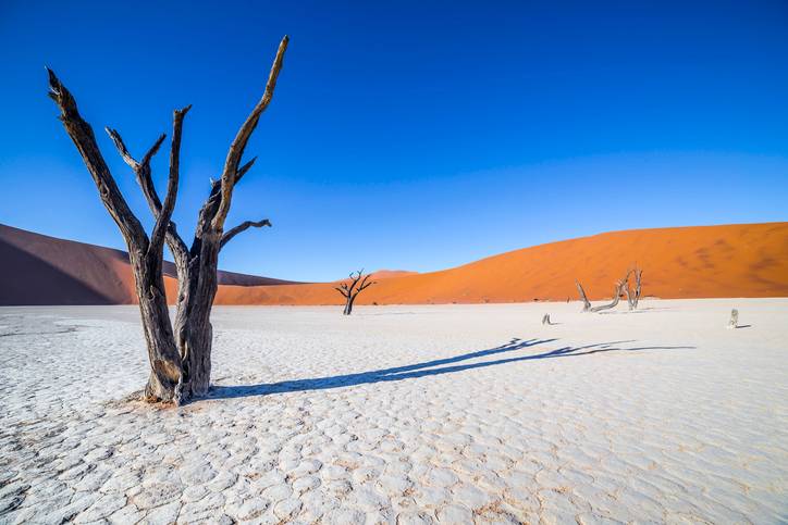 namibia-sossusvlei-deadvlei-baeume-g-531311394.jpg
