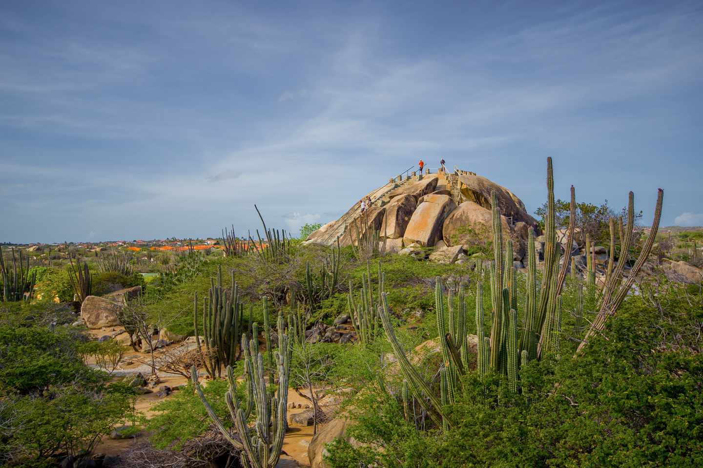 karibik-aruba-casibari-rock-g-501624882.jpg