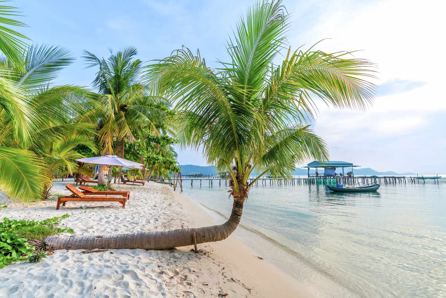 vietnam-phu-quoc-seesternstrand-palme-g-1434280416.jpg