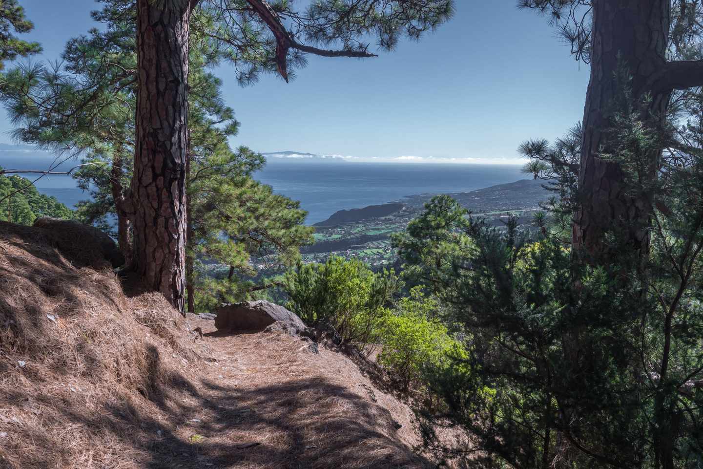 kanaren-la-palma-madera-nieves-wandern-g1416235254.jpg